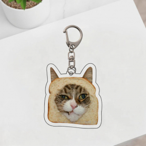 transparent_Photoroom-_-2025_12_10T161023.398