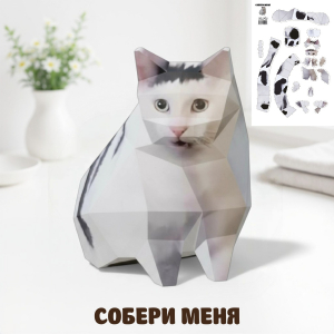 kartochki_soberi_menya_Montazhnaya_oblast_1_kopiya